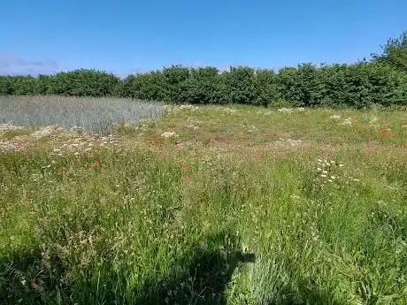Photo de Gamlingay Cinques