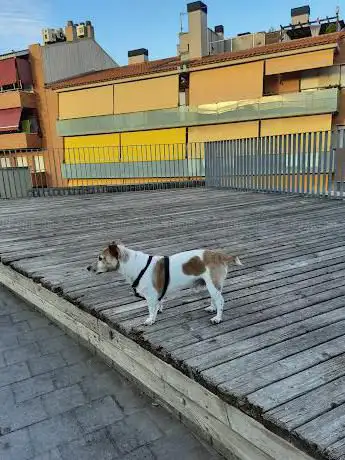 Plaça Sagrada Família