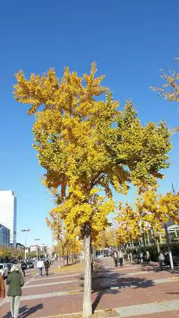 Parc de Catalunya