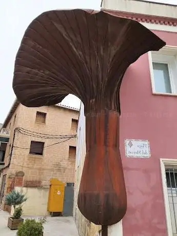 Photo de Museu d'Art del Bolet