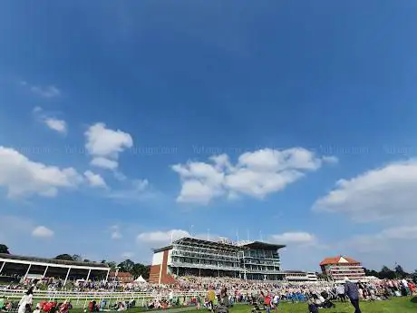 Photo de Knavesmire