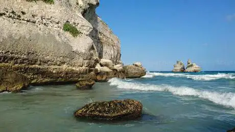 Photo de Lido La Pineta Beach