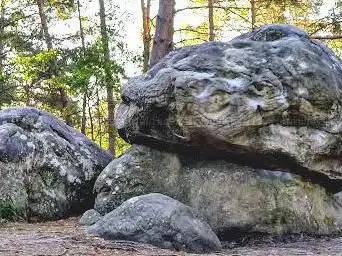 Photo de Réserve de la Solle
