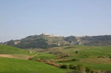 Photo de Fattoria Gallorosso Ssa