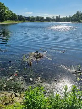 Salford Park