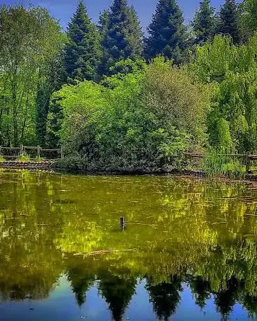 Photo de Bosco delle Querce