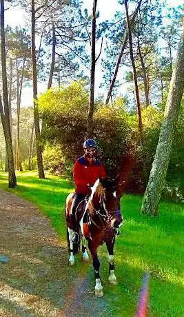 ELVA Centro Equestre