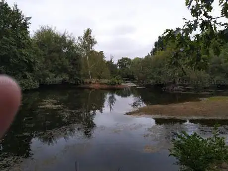 Photo de Les étangs