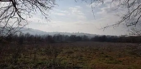 Photo de Dolina di Gaibola