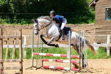 Photo de Centre Equestre de Marville