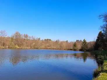 Photo de Étang Lechir aappma Belfort Bavilliers