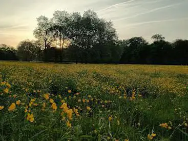 Photo de Chemin du parc du château de Belle-Église