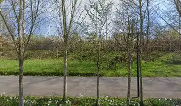 Foxer's lane