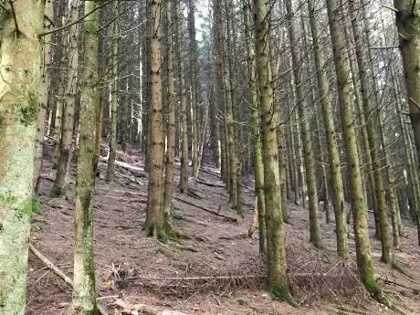Promenade de la Valire
