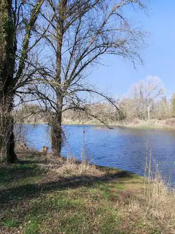 Photo de Etang des Accruaux