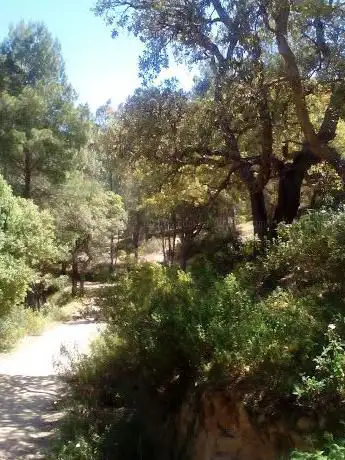 Parco naturalistico Is Olias