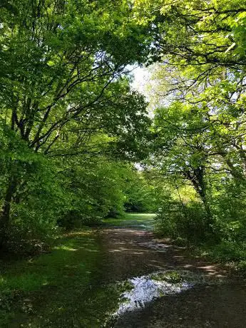 Photo de Oak Hill Pond