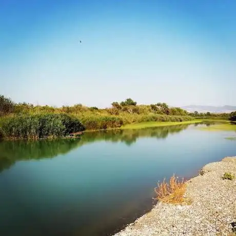 Photo de Foce del fiume Sinni