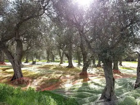 Cimitero di Cerfignano