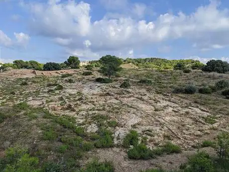 Photo de Poblat Iberic De La Cella