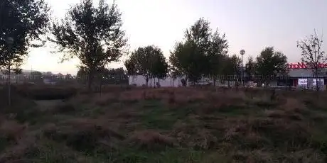 Floresta