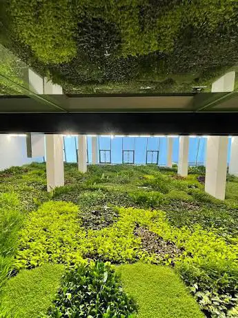 Photo de Jardin vertical mas grande de Europa