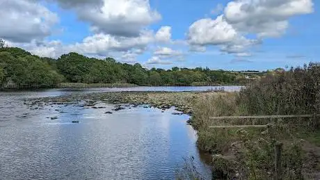 Photo de Teifi Marshes Nature Reserve