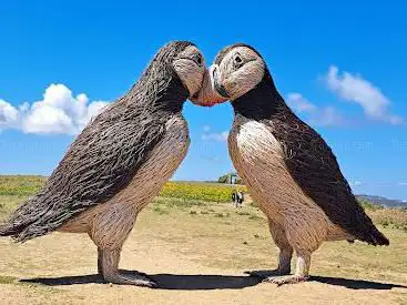 Photo de Two Giant Puffins