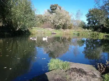 Photo de Strines Beck Ponds
