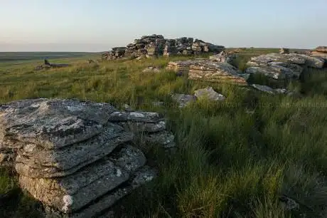 Wild Tor