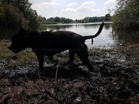 Burton Riggs Nature Reserve