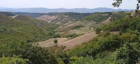 Photo de Monumento Naturale Balza di Seppie