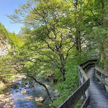 Photo de gorges de Court