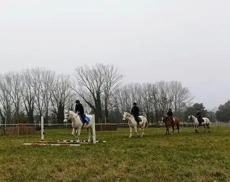 Photo de Riding Club Manzone - Happy Horse Stable