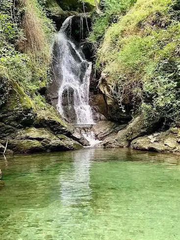 Cascata Libellule Blu