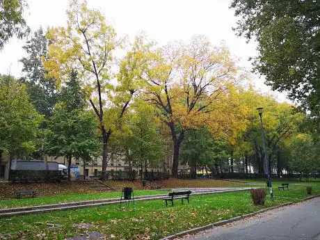 Parco Ignazio Michelotti