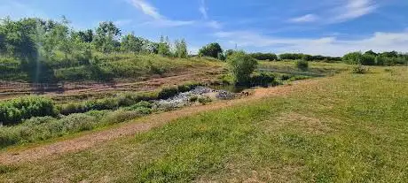 Photo de Shirebrook Wood