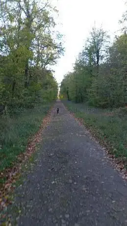 Prairie cool 2 - forêt de Haye