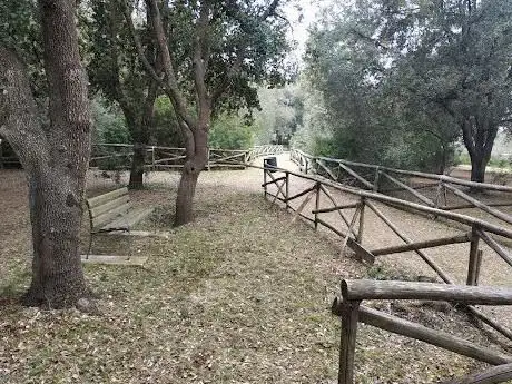Bosco Laurito