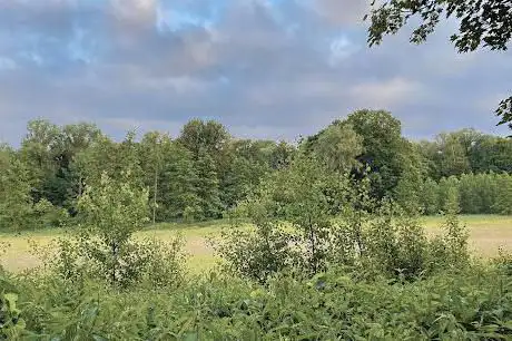 Marais de Jette