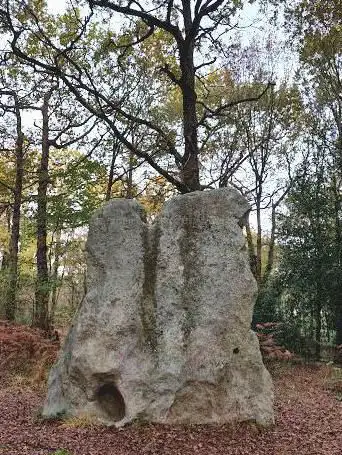 Photo de Menhir de Pierre Levèe