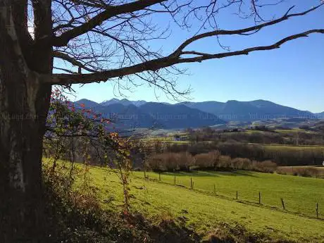 Photo de Leit de Brunas