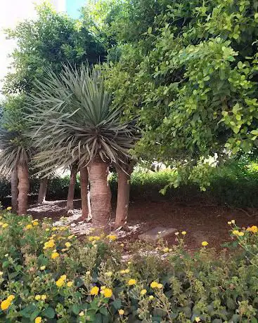 Photo de Plaza de Andalucia