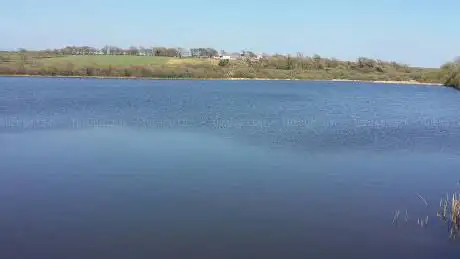 Lower Tamar Lake