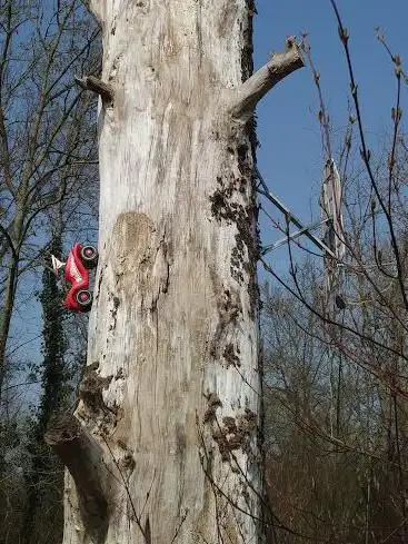 Skulpturen in Bäumen