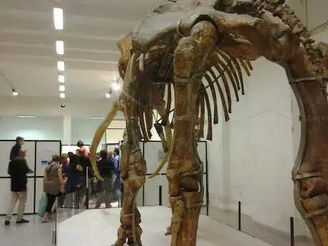 Museo Universitario di Scienze della Terra
