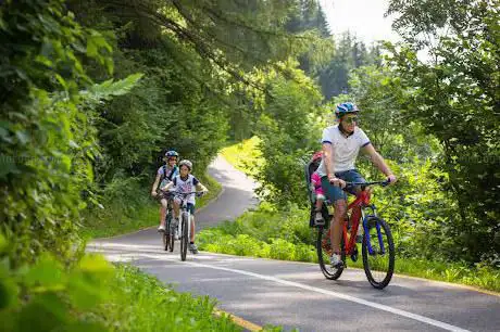 Pista Ciclabile Val di Sole