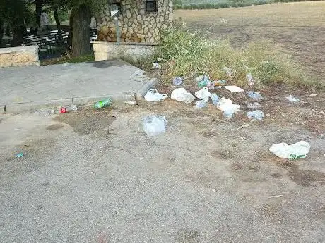 Photo de Barbacoa de Guadalajara