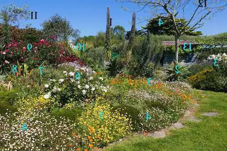 Photo de Eden du Voyageur Garden