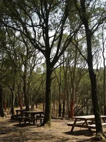 Area Picnic Sassetta